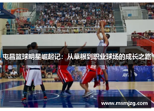 屯昌篮球明星崛起记：从草根到职业球场的成长之路