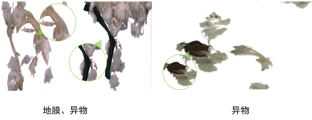 微信公众号图片