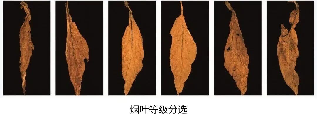 微信公众号图片